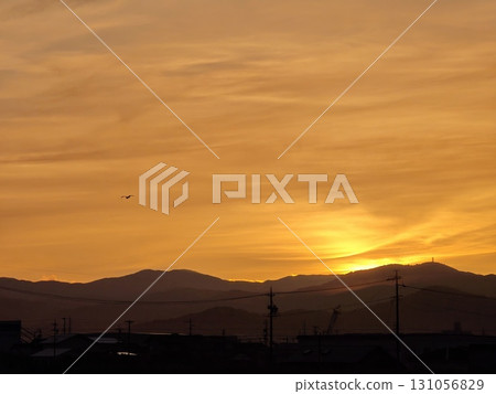 天空染成了日落 131056829