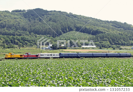 The Royal Express heading north on the Soya Main Line towards the northernmost Wakkanai The Royal Express heading north on the Soya Main Line towards the northernmost Wakkanai 131057233