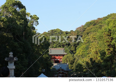 鎌倉鶴岡八幡宮的本殿(上宮) 鎌倉鶴岡八幡宮的本殿(上宮) 131057536