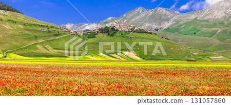 scenic of Italy - Castelluccio di Norcia village, blooming fields and meadows. region Umbria 131057860