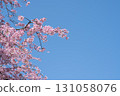 Blue sky and Kureha Otome Shidare 131058076