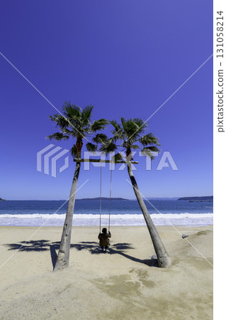 Palm tree swing on the beach 131058214