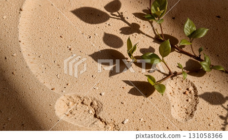 young plant on the sand 131058366