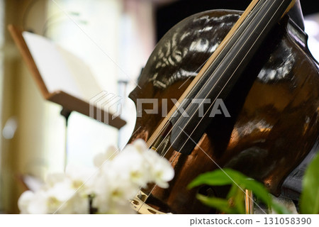 Double Bass with Strings and Music Stand Double Bass with Strings and Music Stand 131058390