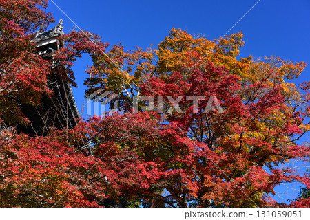 秋葉環繞的吉峰寺山門 131059051