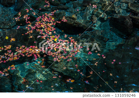 秋葉漂浮在清澈的水面上 131059246
