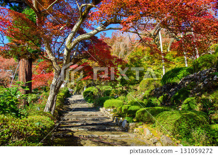 Yoshimineji Temple with autumn leaves Yoshimineji Temple with autumn leaves 131059272