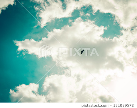 Ozora and birds 131059578