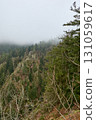 Dramatic foggy mountain landscape with dense evergreen forest and rocky cliffs in the Black Forest Germany, mystical mist-covered wilderness with towering pine trees and rugged terrain, perfect for 131059617