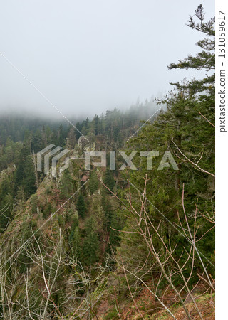 Dramatic foggy mountain landscape with dense evergreen forest and rocky cliffs in the Black Forest Germany, mystical mist-covered wilderness with towering pine trees and rugged terrain, perfect for Dramatic foggy mountain landscape with dense evergreen forest and rocky cliffs in the Black Forest Germany, mystical mist-covered wilderness with towering pine trees and rugged terrain, perfect for 131059617