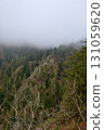 Dramatic foggy mountain landscape with dense evergreen forest and rocky cliffs in the Black Forest, Germany – mystical mist-covered wilderness with towering pine trees and rugged terrain 131059620