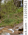 Serene Forest Waterfall with Wooden Bridge and Observers in Lush Greenery. 131059623