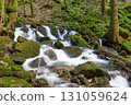 Misty Allerheiligen Waterfalls in Black Forest National Park, Germany. Scenic forest waterfall Allerheiligen Waterfalls in National Park SCHWARZWALD, Germany. Long exposure shot of a cascading 131059624