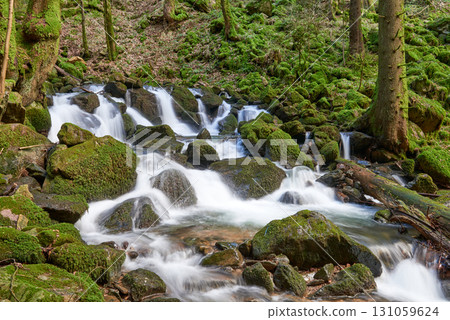 Misty Allerheiligen Waterfalls in Black Forest National Park, Germany. Scenic forest waterfall Allerheiligen Waterfalls in National Park SCHWARZWALD, Germany. Long exposure shot of a cascading Misty Allerheiligen Waterfalls in Black Forest National Park, Germany. Scenic forest waterfall Allerheiligen Waterfalls in National Park SCHWARZWALD, Germany. Long exposure shot of a cascading 131059624