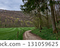 Winding Rural Path Between Pine Forest And Green Fields Leading To Rolling Hills Under Cloudy Sky In Countryside Landscape. 131059625