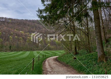 Winding Rural Path Between Pine Forest And Green Fields Leading To Rolling Hills Under Cloudy Sky In Countryside Landscape. 131059625