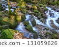 Majestic Allerheiligen Waterfalls: Serene Long Exposure Cascade in Black Forest National Park Germany. Scenic Forest Stream Flows Through Lush Greenery and Moss Covered Rocks Creating Ethereal 131059626