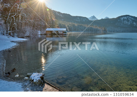Serene Winter Wonderland: Two Graceful Swans Glide Across Icy Lake Surface Bathed in Golden Sunlight Pristine Frozen Landscape Showcases Nature's Tranquil Beauty on Crisp Winter Day 131059634
