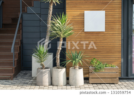Modern Entryway With Decorative Plants Near a Wooden Wall 131059754