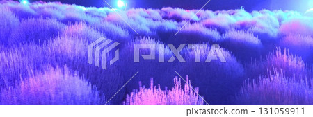 紫色燈光下的藜麥田 131059911