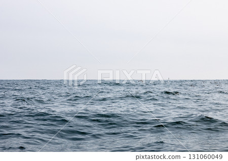 view of Pacific ocean in Avacha bay in spring view of Pacific ocean in Avacha bay in spring 131060049
