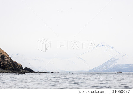 coastline of Starichkov island in Avacha bay coastline of Starichkov island in Avacha bay 131060057