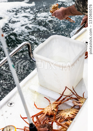 fisherman cuts up freshly caught crab on boat 131060076