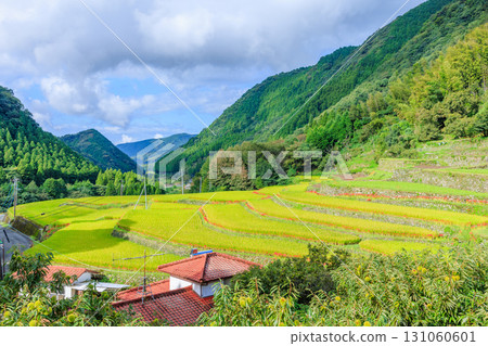 Bansho rice terraces and red spider lilies, Yamaga City, Kumamoto Prefecture 131060601