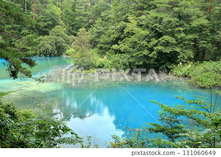 The mysterious emerald green Aonuma Lake in the Goshikinuma Lake Group The mysterious emerald green Aonuma Lake in the Goshikinuma Lake Group 131060649