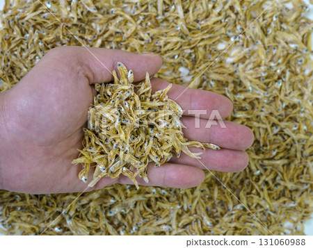 Hand holding a handful of dried small fish over a pile of similar fish background. 131060988