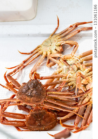 several freshly caught Kamchatka crabs on board 131061166