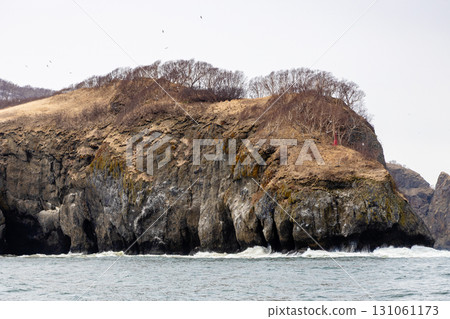 cape in Babya bay of Pacific ocean on spring day 131061173