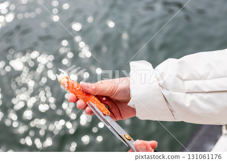 fisher cuts leg of caught crab with scissors 131061176