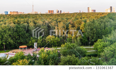 panoramic view of green forest of city park panoramic view of green forest of city park 131061387