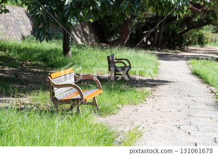 A bench in a green park on a sunny day A bench in a green park on a sunny day 131061678