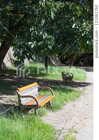 Yellow bench in a green park on a sunny day Yellow bench in a green park on a sunny day 131061762