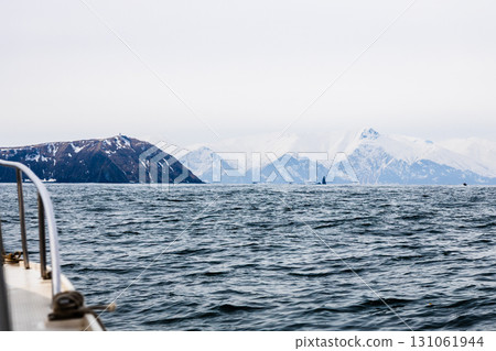 view of coast of Pacific ocean in Avacha from boat 131061944