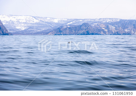 blue water of Avacha bay of on sunny spring day blue water of Avacha bay of on sunny spring day 131061950