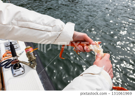tourist breaks leg of freshly caught crab on boat 131061969