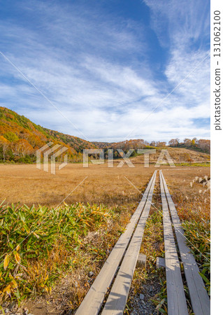 Shiga Kogen and Tanohata Marsh, where autumn leaves deepen Shiga Kogen and Tanohata Marsh, where autumn leaves deepen 131062100