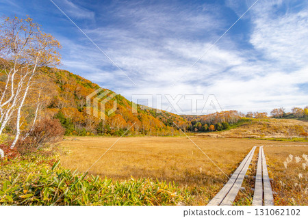 志賀高原與田野畑沼澤,秋葉濃密 志賀高原與田野畑沼澤,秋葉濃密 131062102