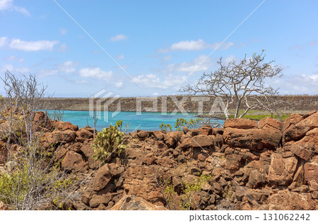 The pristine landscape of Santa Cruz Island, Galapagos Islands, Ecuador. 131062242
