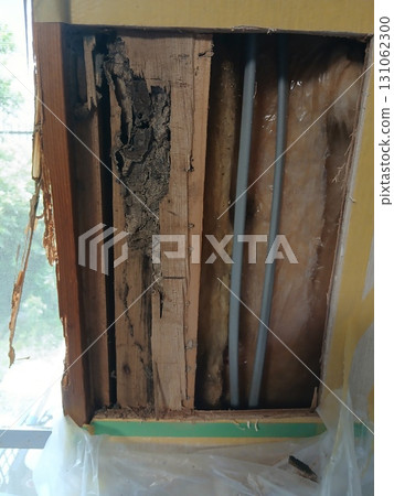 Termite inspection, underfloor, Japanese house inspection Termite inspection, underfloor, Japanese house inspection 131062300