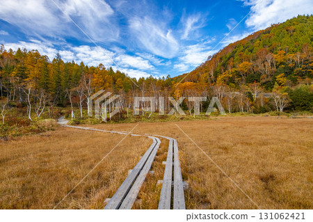 Shiga Kogen and Tanohata Marsh, where autumn leaves deepen 131062421