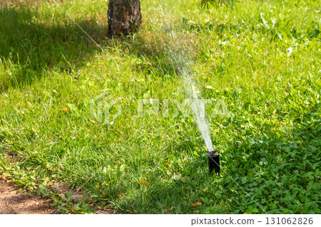 Sprinkler watering a green lawn on a sunny day in a residential backyard or park. The bright sun shines down, illuminating the grass and creating a vibrant scene. Sprinkler watering a green lawn on a sunny day in a residential backyard or park. The bright sun shines down, illuminating the grass and creating a vibrant scene. 131062826