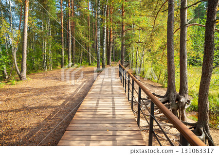 A wooden path through a forest clearing with handrails over a cliff. Sunny day on an eco-trail, ecology A wooden path through a forest clearing with handrails over a cliff. Sunny day on an eco-trail, ecology 131063317