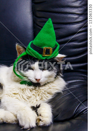 Portrait of beautiful cat wearing a green leprechaun hat in a black leather armchair. St. Patrick's Day concept 131063330