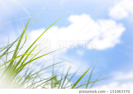 夏日的草和清爽的夏日天空，蒜山高原 131063370