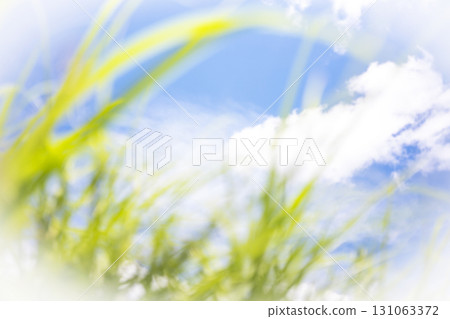 夏日的草和清爽的夏日天空，蒜山高原 131063372