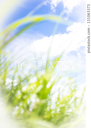 夏日的草和清爽的夏日天空，蒜山高原 131063373